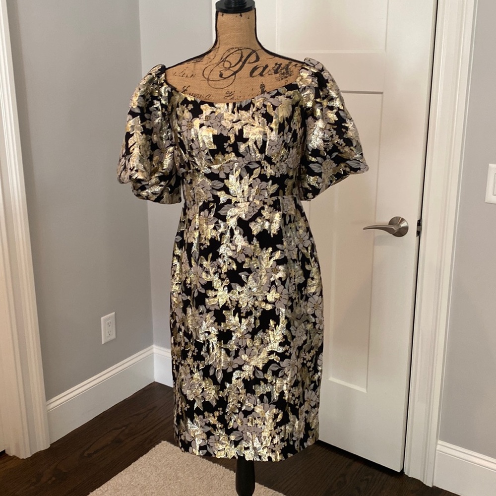 NWT Monique Lhuillier Dress